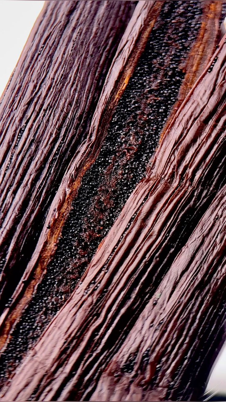 Close-up of a split vanilla pod showing dense black caviar seeds